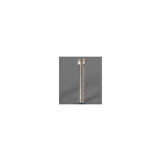 Visserie PLATE INOX M2x10mm Visserie PLATE INOX M2x10mm