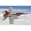 Maquette d'avion en plastique F/A-18F SUPER HORNETVFA-102 Maquette d'avion en plastique F/A-18F SUPER HORNETVFA-102