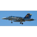 Maquette d'avion en plastique F/A-18C HORNET Maquette d'avion en plastique F/A-18C HORNET