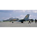 Maquette d'avion en plastique F/A-18C HORNET Maquette d'avion en plastique F/A-18C HORNET