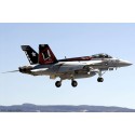 Maquette d'avion en plastique F/A-18C GOLDEN DRAGONS 1/72 Maquette d'avion en plastique F/A-18C GOLDEN DRAGONS 1/72