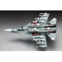 Maquette d'avion en plastique Su-33 FLANKER D 1/72 Maquette d'avion en plastique Su-33 FLANKER D 1/72