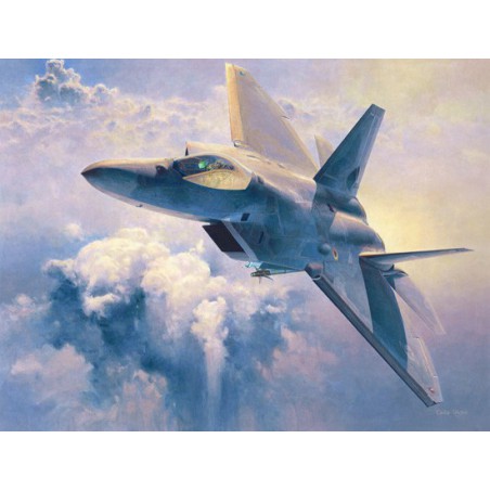 Maquette d'avion en plastique F-22 RAPTOR 1/48 (PT45) Maquette d'avion en plastique F-22 RAPTOR 1/48 (PT45)