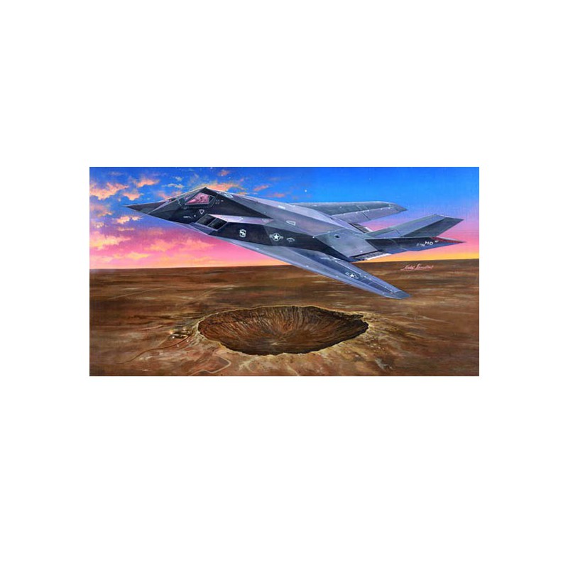Maquette d'avion en plastique F-117A NIGHTHAWK