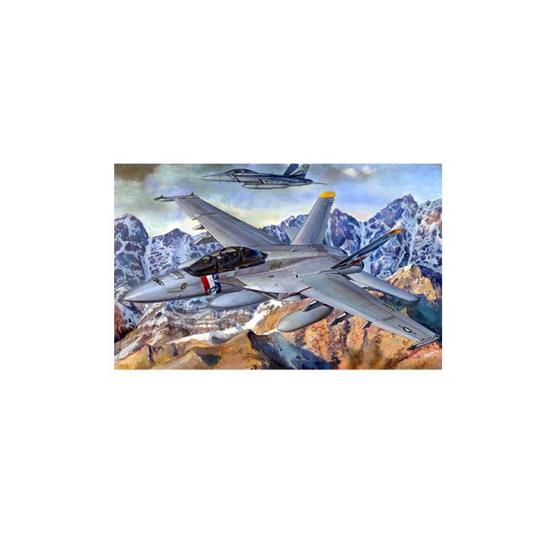Maquette d'avion en plastique F/A-18F SUPER HORNET