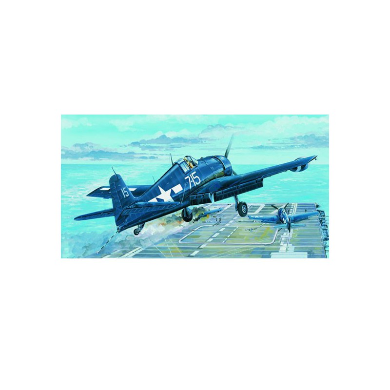 Maquette d'avion en plastique F6F-5N "HELLCAT"