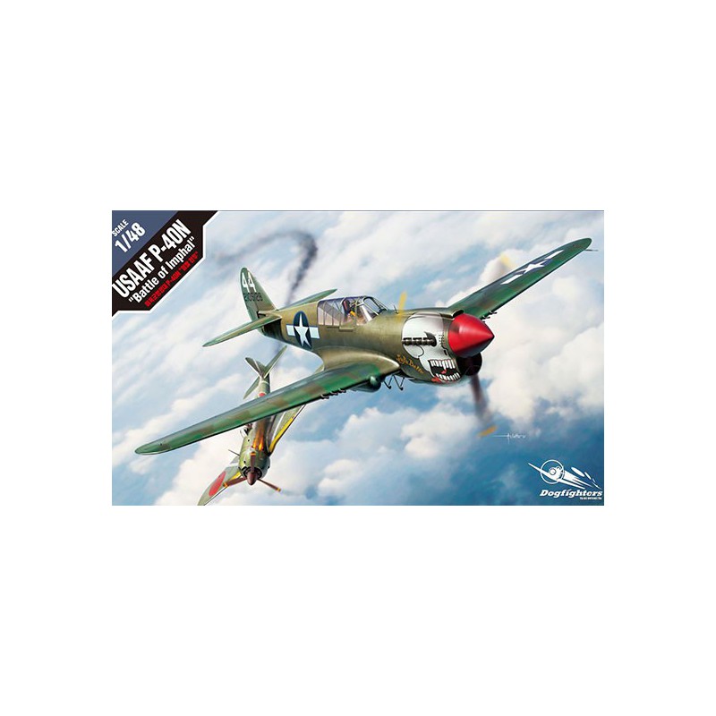 Maquette d'avion en plastique USAAF P-40N 1/48