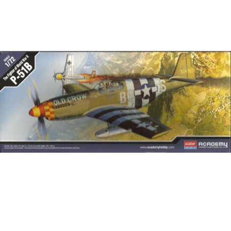 Maquette d'avion en plastique P-51B Mustang 1/72 (ex 1667) Maquette d'avion en plastique P-51B Mustang 1/72 (ex 1667)