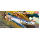 Maquette d'avion en plastique P-47D Bubble Top 1/72 Maquette d'avion en plastique P-47D Bubble Top 1/72