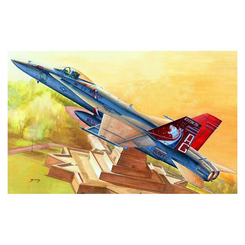 Maquette d'avion en plastique F/A-18C Hornet 1/48