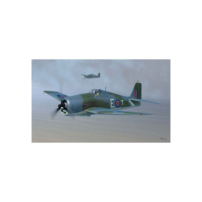 Maquette d'avion en plastique Hellcat Fleet AirArm MK.II1/48