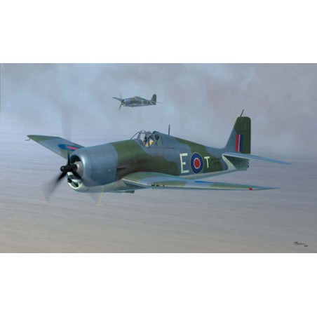 Maquette d'avion en plastique Hellcat Fleet AirArm MK.II1/48 Maquette d'avion en plastique Hellcat Fleet AirArm MK.II1/48