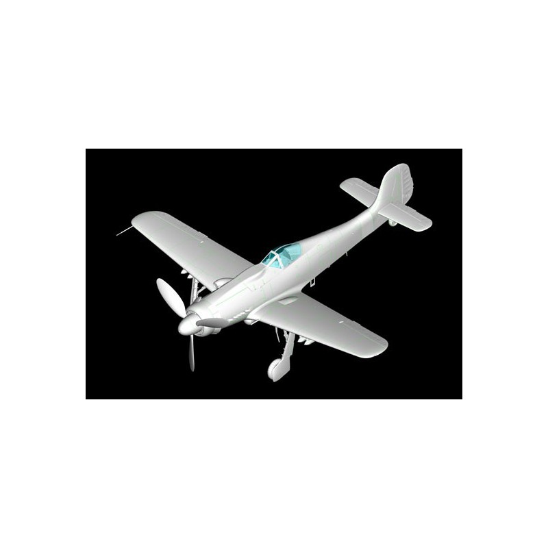 Maquette d'avion en plastique Focke Wulf 190D-10 1/48