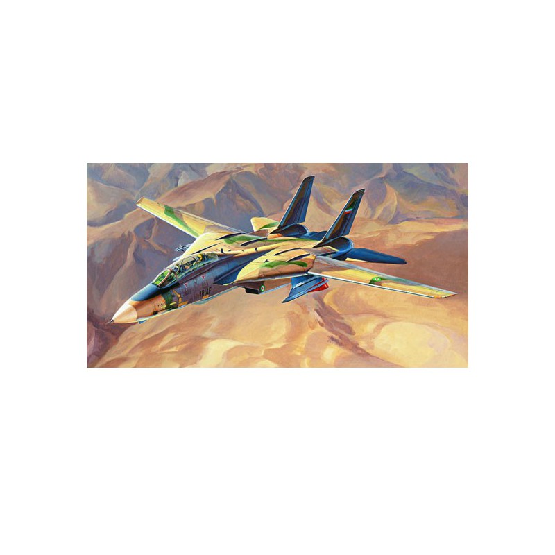 Maquette d'avion en plastique “Persian Cat” F-14A TomCat – IRIAF 1/48