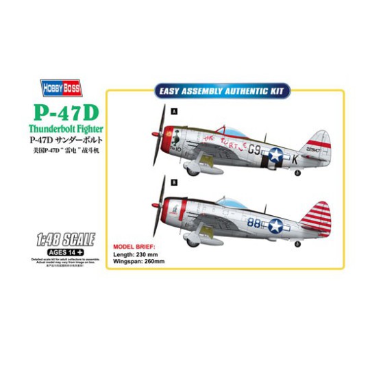 Maquette d'avion en plastique P-47D Thunderbolt 1/48