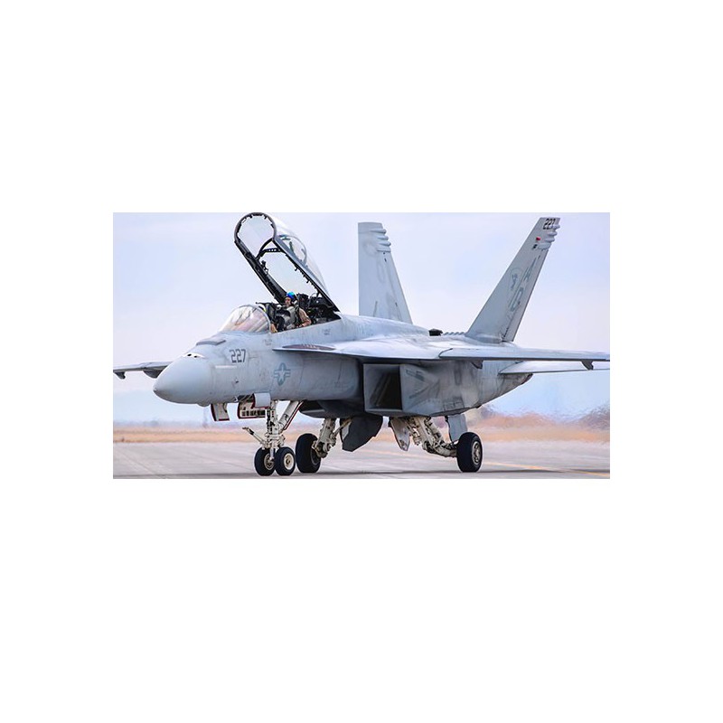 Maquette d'avion en plastique F/A-18F Super Hornet 1/48