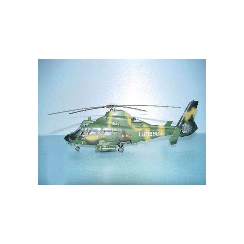 Maquette d'hélicoptère en plastique Z-9G ARMED HELICOPTER