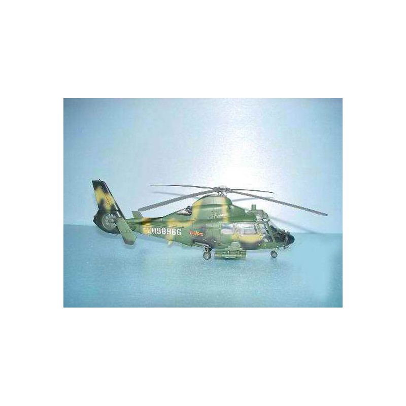 Maquette d'hélicoptère en plastique Z-9G ARMED HELICOPTER