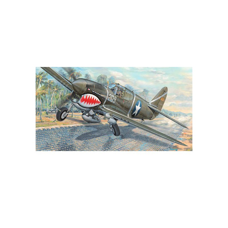 Maquette d'avion en plastique P-40F War Hawk 1/32