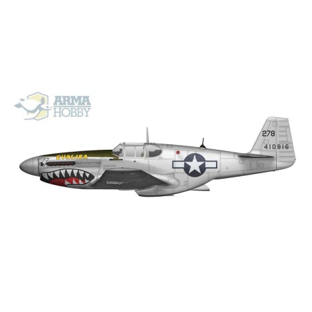Maquette d'avion en plastique P-51 B/C Mustang Expert Set 1/72 Maquette d'avion en plastique P-51 B/C Mustang Expert Set 1/72