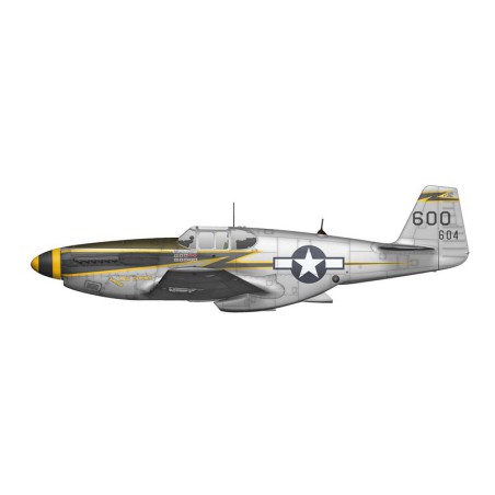 Maquette d'avion en plastique F-6C Mustang Expert set 1/72 Maquette d'avion en plastique F-6C Mustang Expert set 1/72