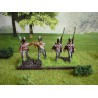 Figurine PENINSULAR BRITISH INFANTRY