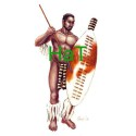 Figurine GUERRIERS ZOULOUS 1879 1/72 Figurine GUERRIERS ZOULOUS 1879 1/72