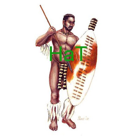 Figurine GUERRIERS ZOULOUS 1879 1/72 Figurine GUERRIERS ZOULOUS 1879 1/72