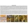 Peinture acrylique Pigments Rouille & Usure