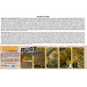 Peinture acrylique Pigments Rouille & Usure