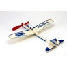 Avion de vol libre radiocommandé Présentoir 120 Planeurs