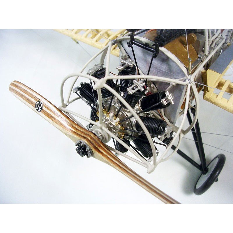 Maquette d'avion en bois FOKKER EINDECKER 1/16