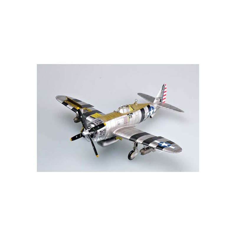 Maquette d'avion en plastique P-47D "RAZORBACK"