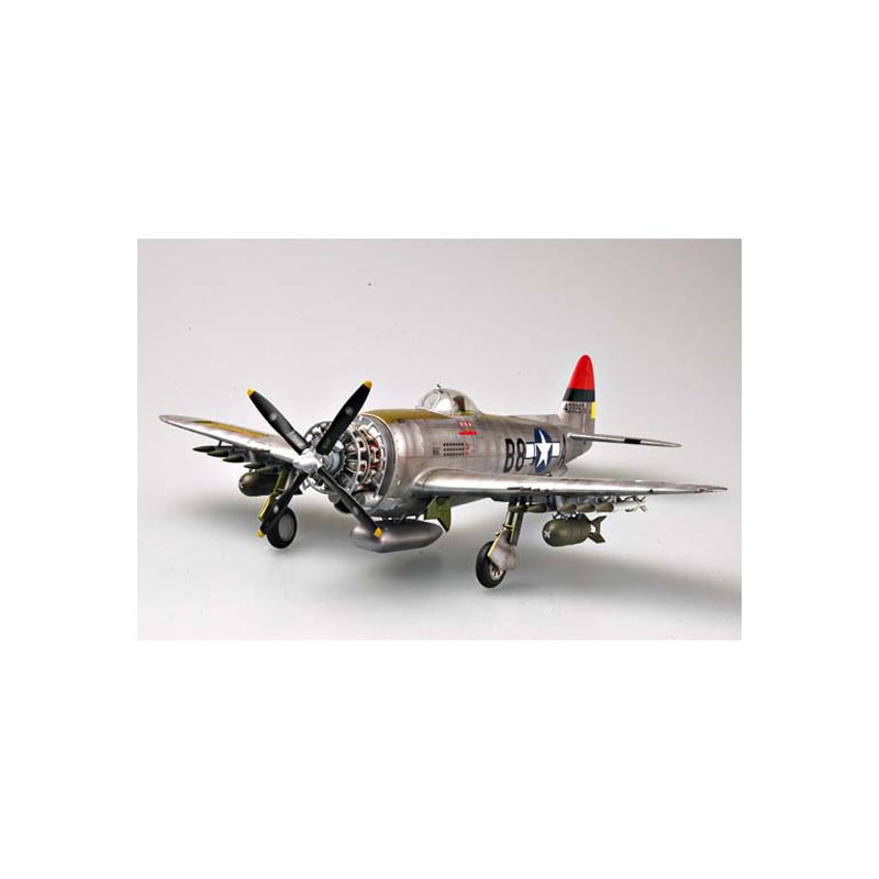 Maquette d'avion en plastique P-47D "THUNDERBOLT"