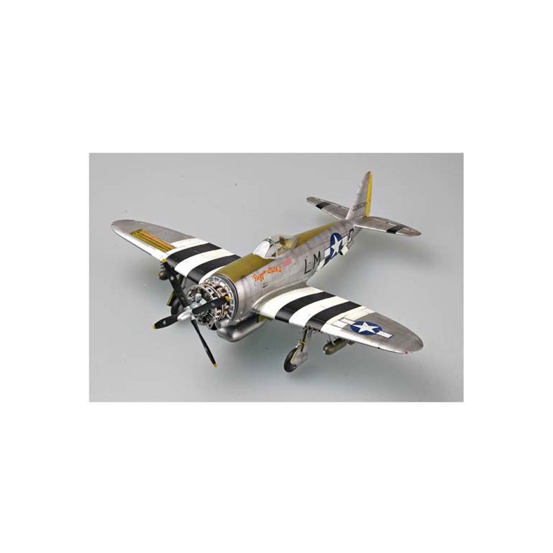 Maquette d'avion en plastique P-47D "DORSAL FIN"