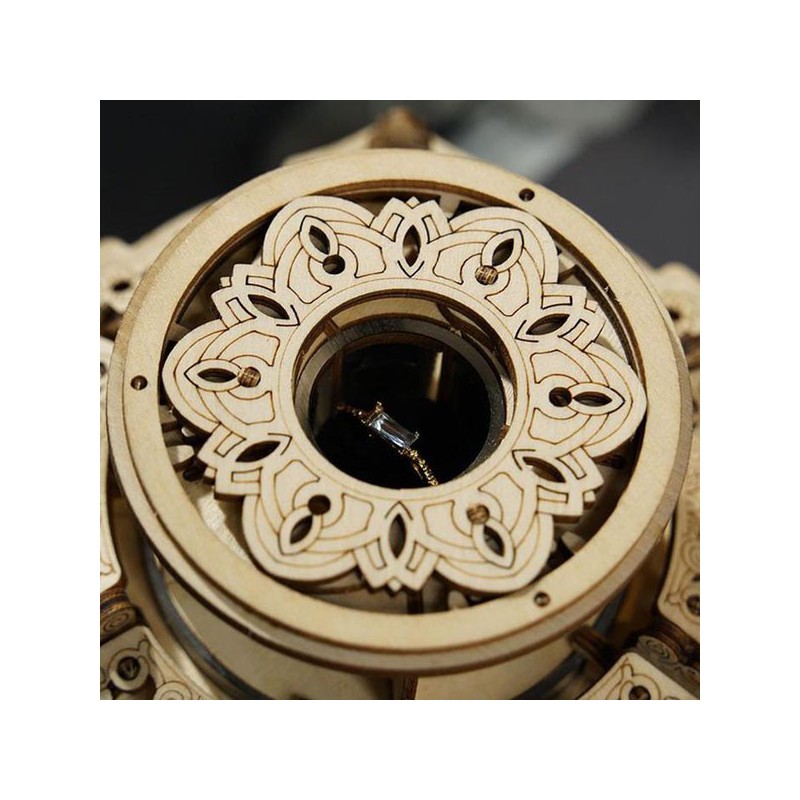 Puzzle 3D mécanique intermédiaire pour maquette Le jardin secret musical