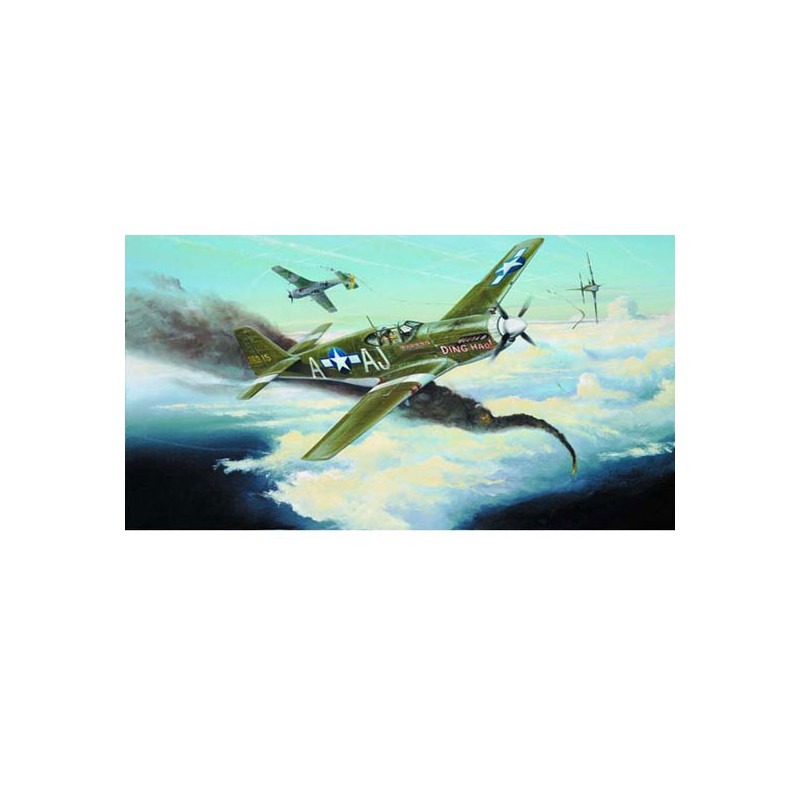 Maquette d'avion en plastique P-51 B MUSTANG