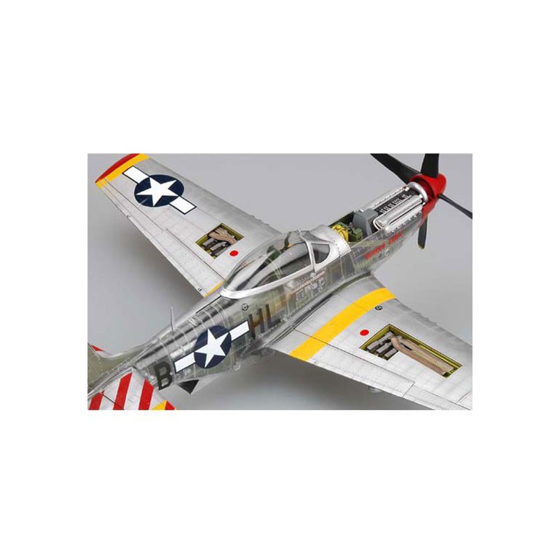 Maquette d'avion en plastique P-51 D MUSTANG