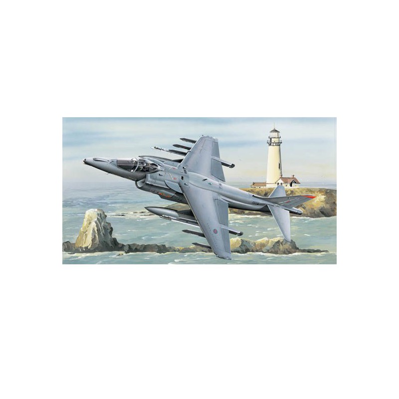 Maquette d'avion en plastique RAF HARRIER GR.MK7