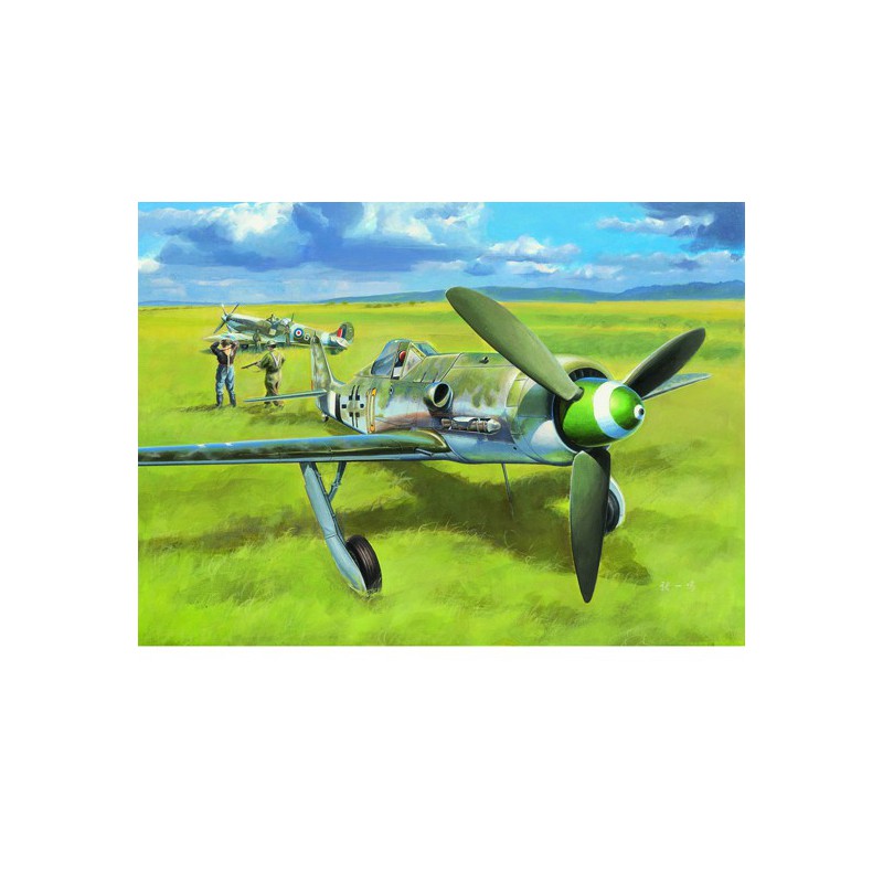 Maquette d'avion en plastique FW190D-13 1/48