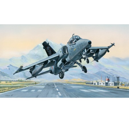 Maquette d'avion en plastique AMX Ground Attack A. 1/48 Maquette d'avion en plastique AMX Ground Attack A. 1/48