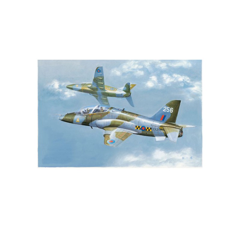 Maquette d'avion en plastique Hawk TMK.1A 1/48