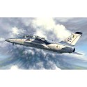 Maquette d'avion en plastique A-1B Trainer 1/48 Maquette d'avion en plastique A-1B Trainer 1/48