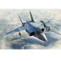 Maquette d'avion en plastique MIG 31B/BM Foxhound 1*48 Maquette d'avion en plastique MIG 31B/BM Foxhound 1*48