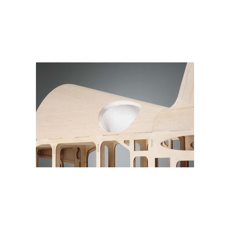 Avion thermique radiocommandé YAK 54160 3D-ARF