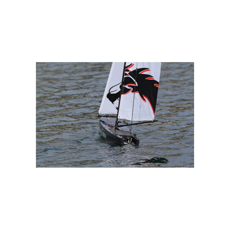 Voilier radiocommandé DRAGON FORCE RG65 RTS V2