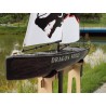 Voilier radiocommandé DRAGON FORCE RG65 RTS V2