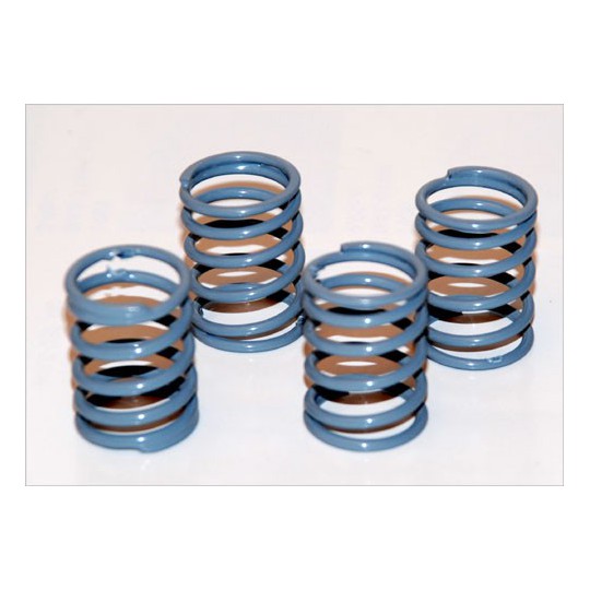 Accessoires pour voiture radiocommandée 4 RESSORTS MOYENS 1/10 PISTE Accessoires pour voiture radiocommandée 4 RESSORTS MOYENS 1/10 PISTE