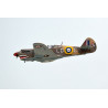 Avion thermique radiocommandé P-40C Tomahawk 60cc ARF