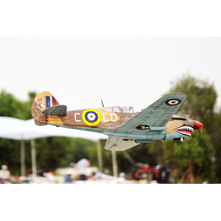Avion thermique radiocommandé P-40C Tomahawk 60cc ARF